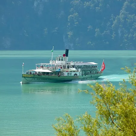 Bellavista - Direct View Brienz (Bern)