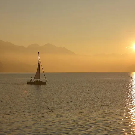 Bellavista - Direct View