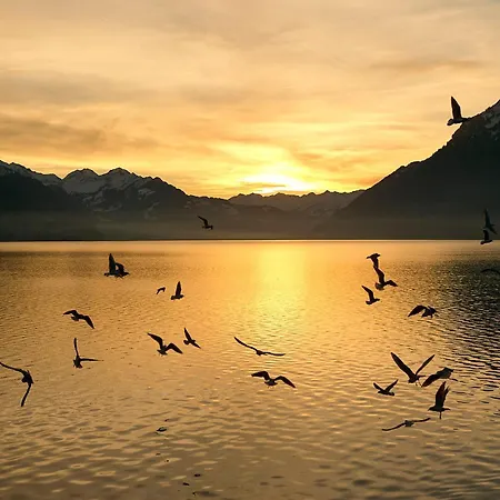 Διαμέρισμα Bellavista - Direct View