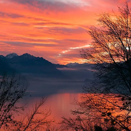 Bellavista - Direct View Διαμέρισμα *