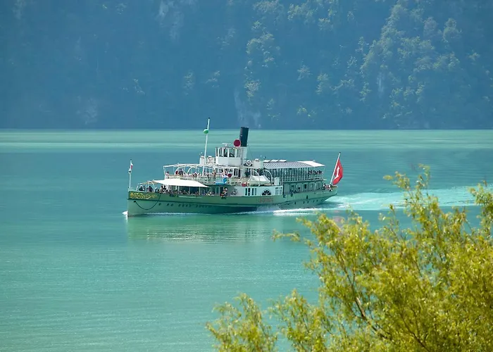 Bellavista - Direct View Brienz (Bern)