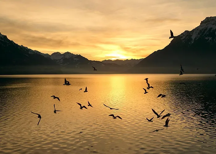 Lejlighed Bellavista - Direct View