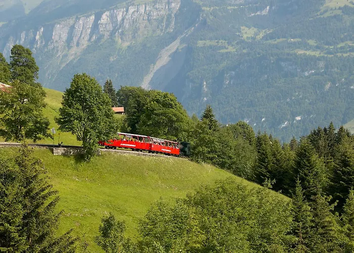 Bellavista - Direct View Lejlighed Brienz (Bern)