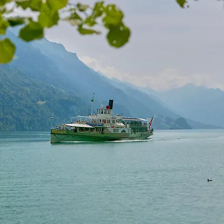 Bellavista - Direct View *